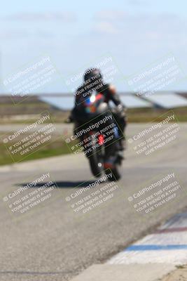 media/Mar-23-2025-TrackDaz (Sun) [[88a7749186]]/B Group/1220pm (Wheelie Bump)/